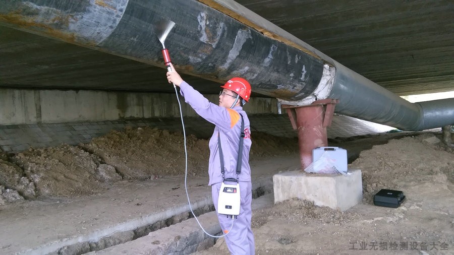 Máy kiểm tra khuyết tật màng sơn