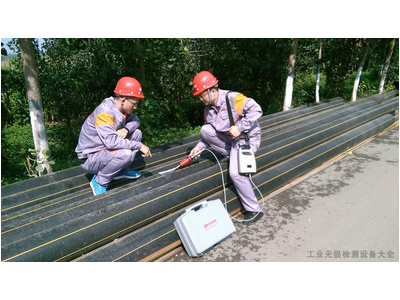 Máy kiểm tra khuyết tật màng sơn